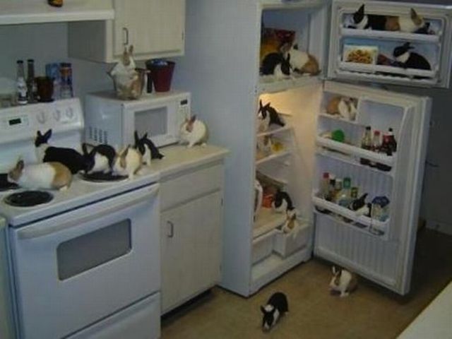 morning picdump 57 pics 12.html - 57 HD Photos | Premium Gallery 2013