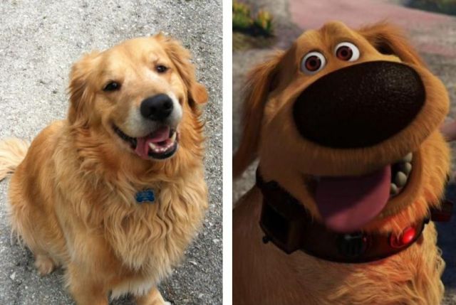 morning picdump 57 pics 12.html - 57 HD Photos | Premium Gallery 2013