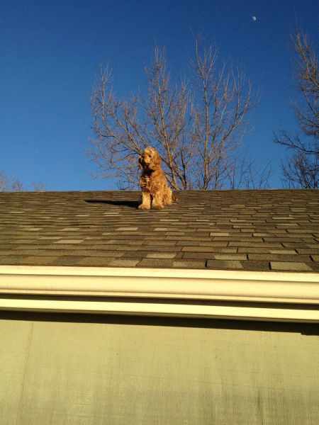 daily picdump 102 pics 19.html - 102 HD Photos | Premium Gallery 2013