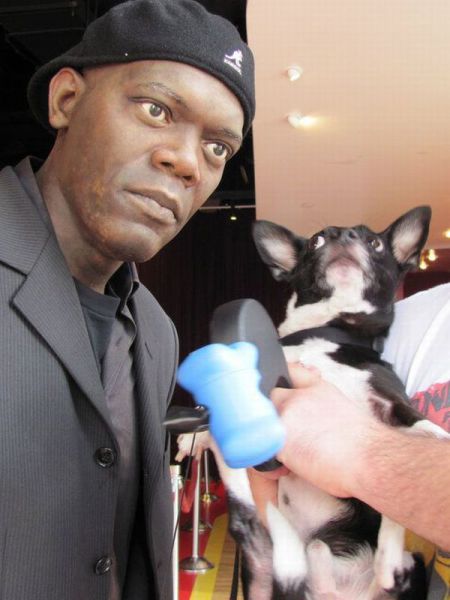 daily picdump 102 pics 19.html - 102 HD Photos | Premium Gallery 2013