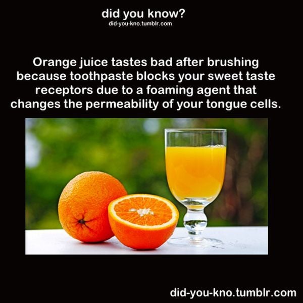 Fascinating Trivia That’s Good to Know