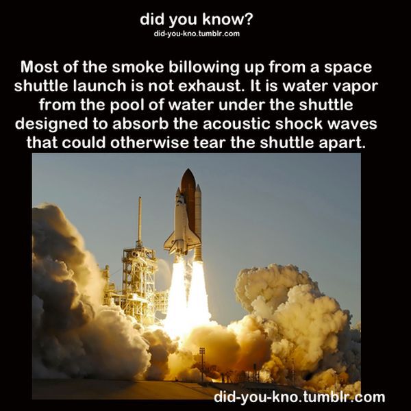 Fascinating Trivia That’s Good to Know