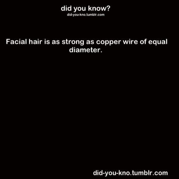 Fascinating Trivia That’s Good to Know