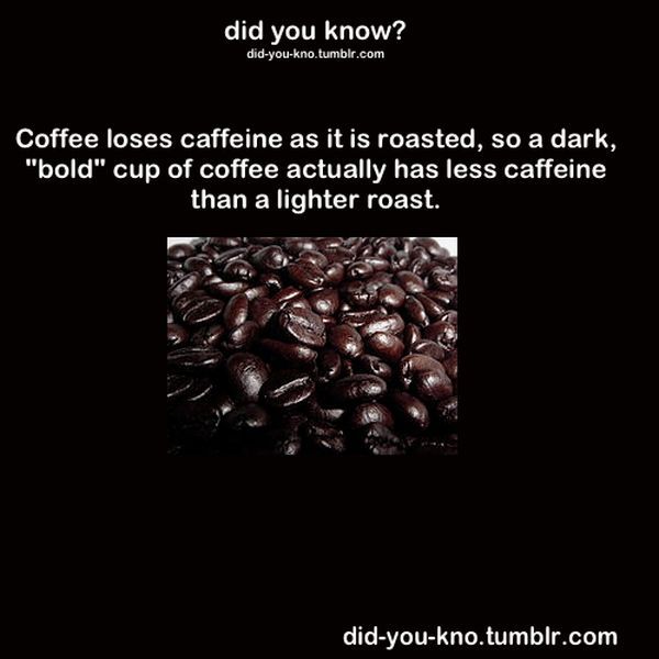 Fascinating Trivia That’s Good to Know