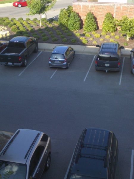 morning picdump 53 pics 12.html - 53 HD Photos | Premium Gallery 2013