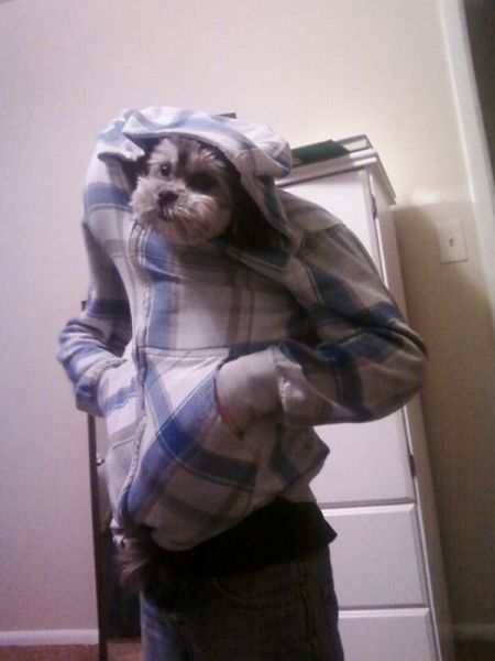 morning picdump 53 pics 14.html - 53 HD Photos | Premium Gallery 2013