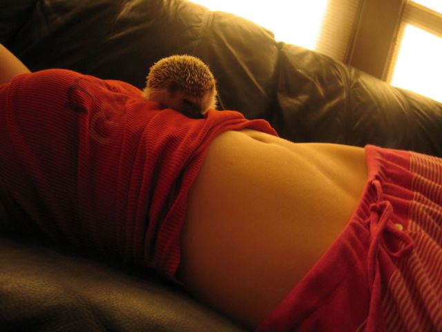 daily picdump weekend edition 91 pics 35.html - 91 HD Photos | Premium Gallery 2013