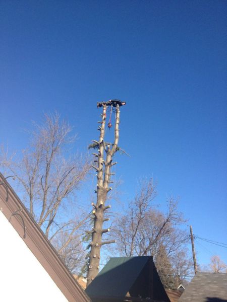 daily picdump weekend edition 91 pics 35.html - 91 HD Photos | Premium Gallery 2013