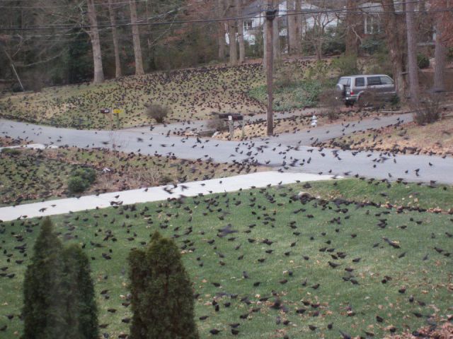 daily picdump weekend edition 91 pics 35.html - 91 HD Photos | Premium Gallery 2013