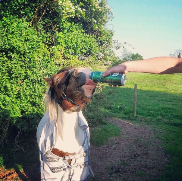 morning picdump 55 pics 7.html - 55 HD Photos | Premium Gallery 2013