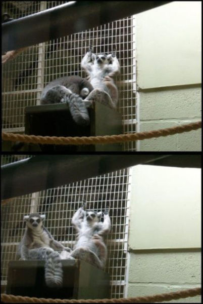 Oops, Totally Busted