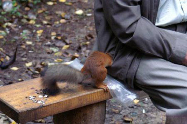 Oops, Totally Busted