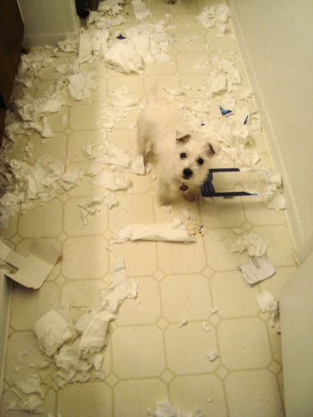 Oops, Totally Busted