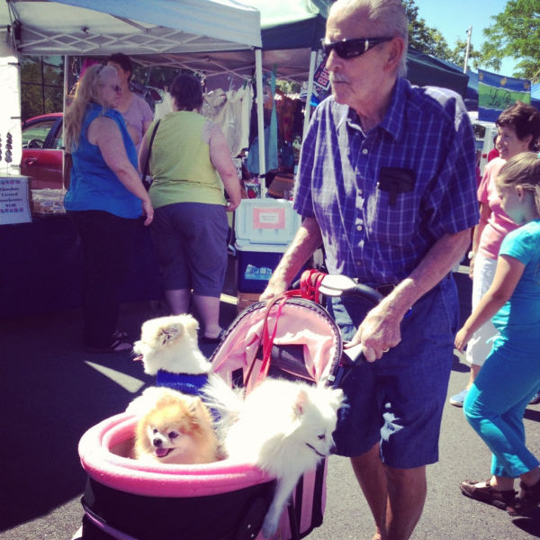 daily picdump 105 pics 46.html - 105 HD Photos | Premium Gallery 2013