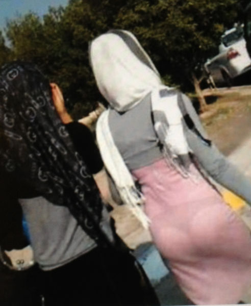 daily picdump 105 pics 46.html - 105 HD Photos | Premium Gallery 2013