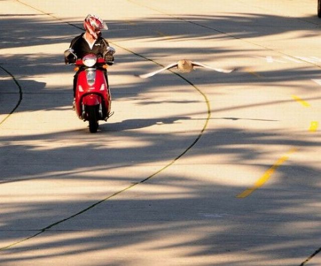 daily picdump 105 pics 46.html - 105 HD Photos | Premium Gallery 2013