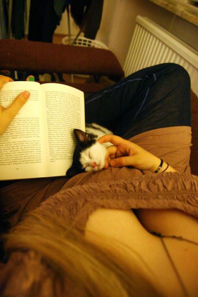 daily picdump 105 pics 46.html - 105 HD Photos | Premium Gallery 2013