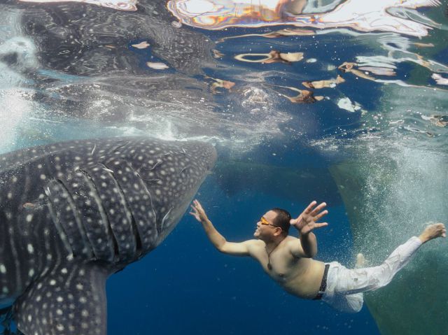 daily picdump 105 pics 46.html - 105 HD Photos | Premium Gallery 2013