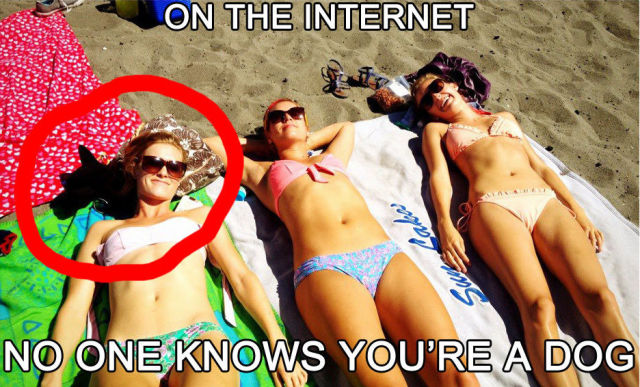 daily picdump 105 pics 46.html - 105 HD Photos | Premium Gallery 2013