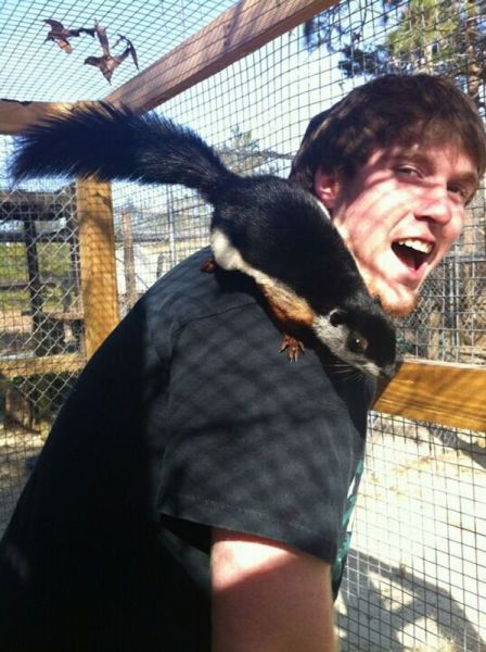 morning picdump 59 pics 18.html - 59 HD Photos | Premium Gallery 2013