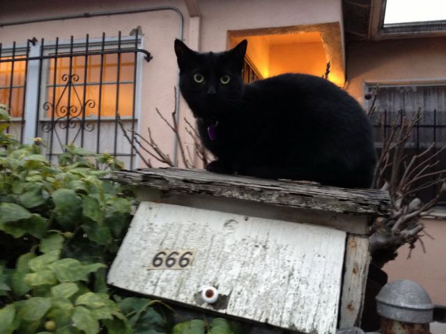 morning picdump 59 pics 18.html - 59 HD Photos | Premium Gallery 2013