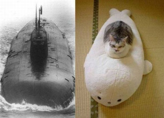 morning picdump 59 pics 18.html - 59 HD Photos | Premium Gallery 2013