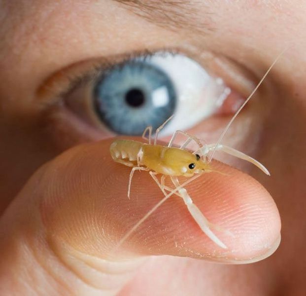 morning picdump 56 pics 28.html - 56 HD Photos | Premium Gallery 2013