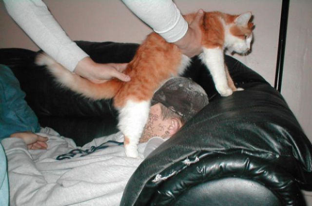 Get Drunk Then Get Pranked