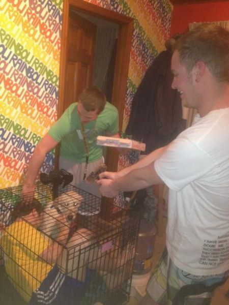 Get Drunk Then Get Pranked