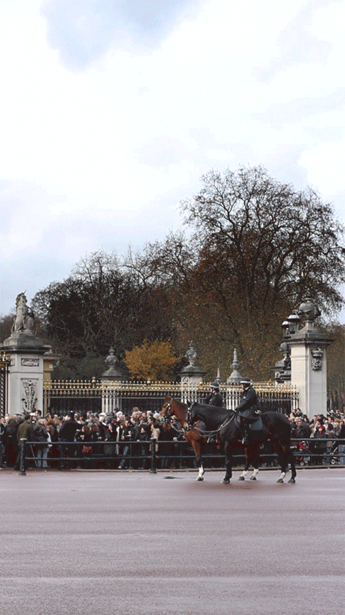 You Probably Missed It. Part 2