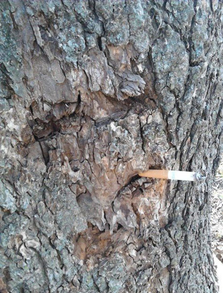 You Probably Missed It. Part 2