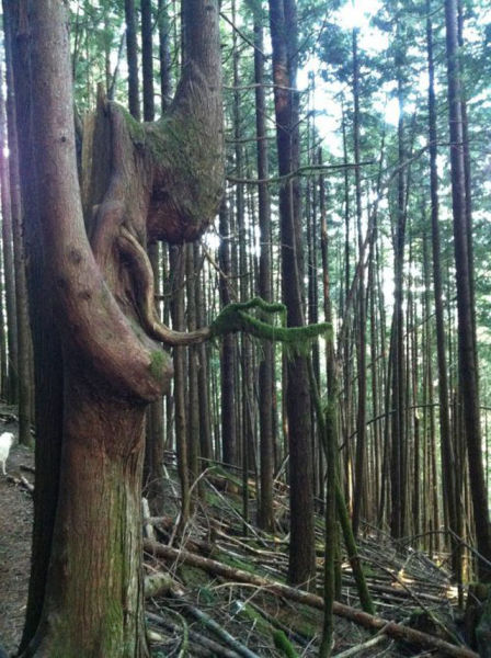 You Probably Missed It. Part 2