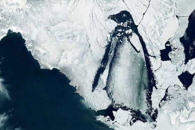 You Probably Missed It. Part 2