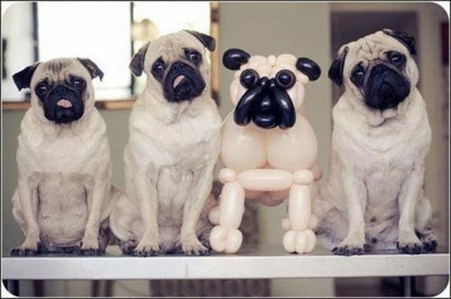 You Probably Missed It. Part 2