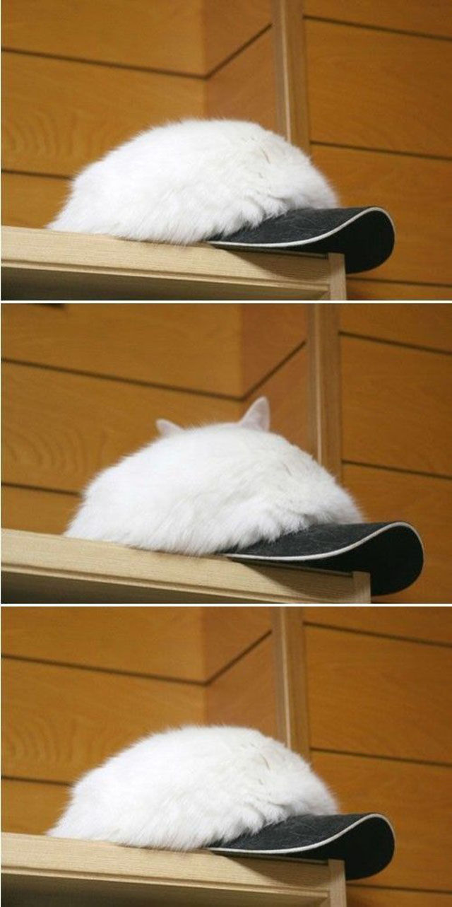 You Probably Missed It. Part 2