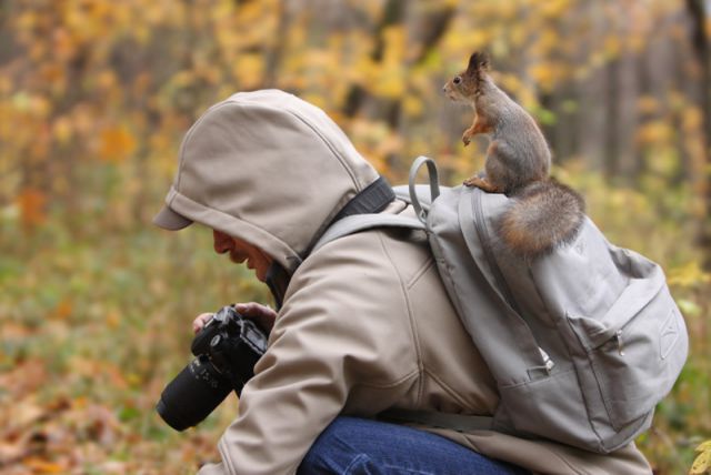 Amazing Photos of Animals Caught in the Act