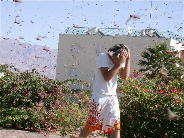 Beware the Locust Invasion