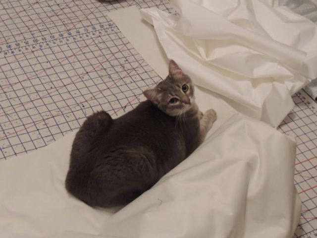 A Sexy Storm Trooper Does Burlesque