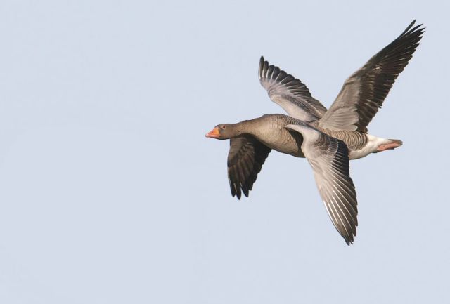 Timing Is Everything