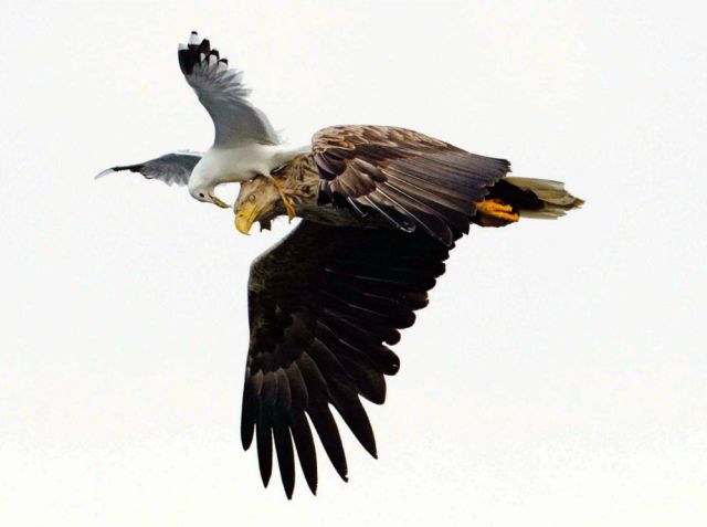 Daily Picdump [WEEKEND EDITION]