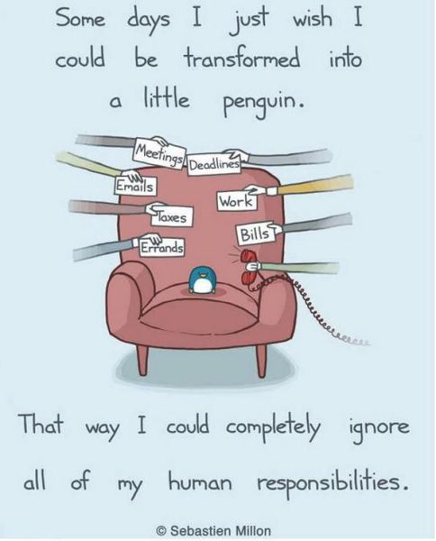 Daily Picdump [WEEKEND EDITION]