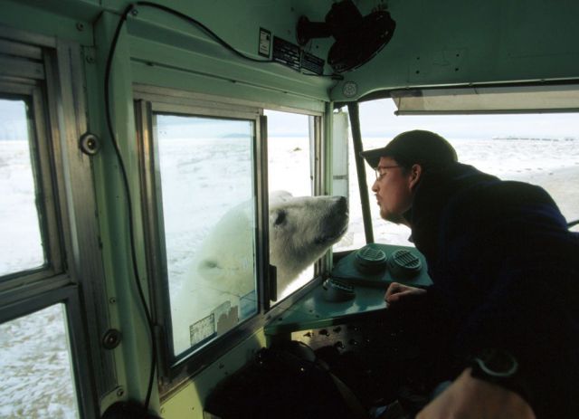 Daily Picdump [WEEKEND EDITION]