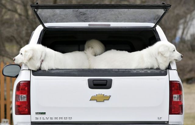 Daily Picdump [WEEKEND EDITION]