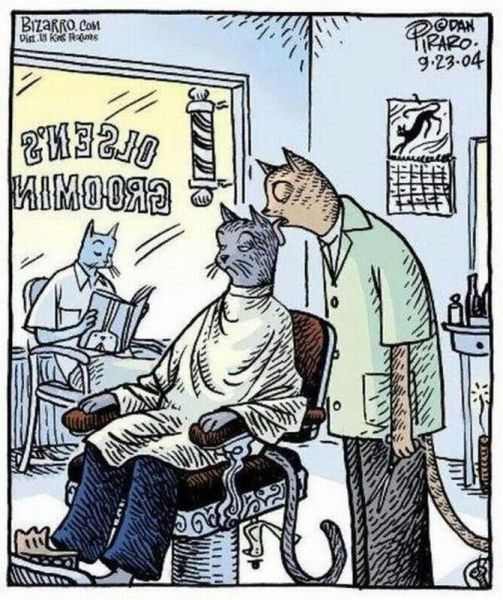 Daily Picdump [WEEKEND EDITION]