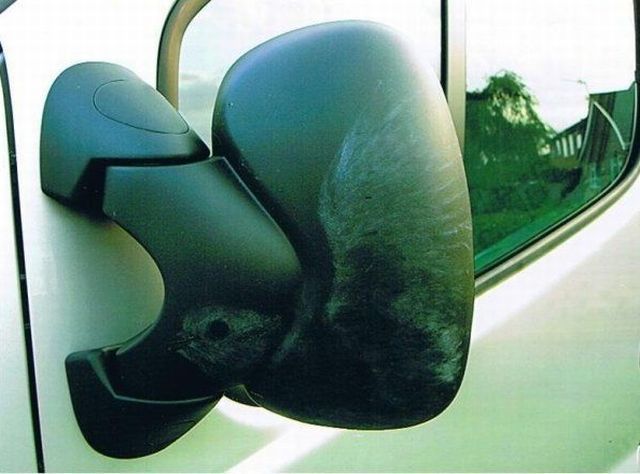 Morning Picdump