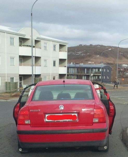 Morning Picdump