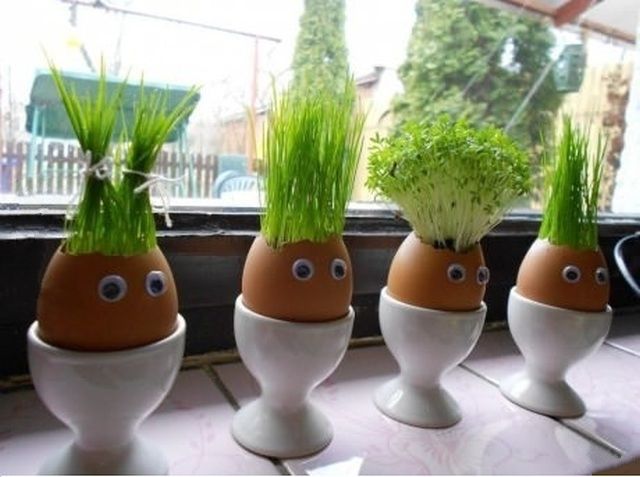 Morning Picdump