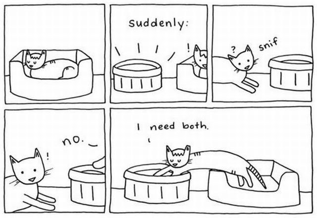 Morning Picdump
