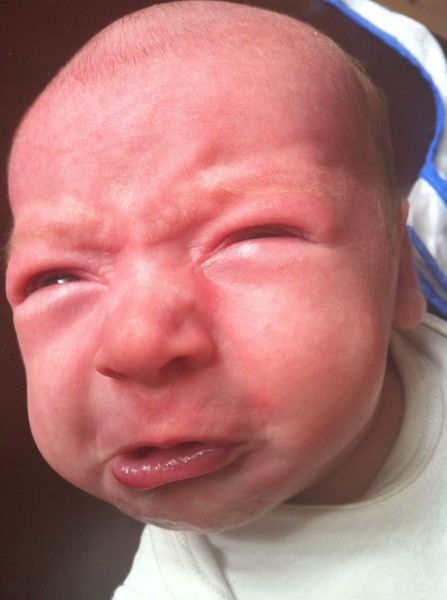 Daily Picdump [WEEKEND EDITION]