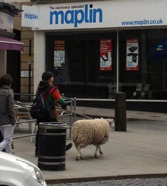 Daily Picdump [WEEKEND EDITION]